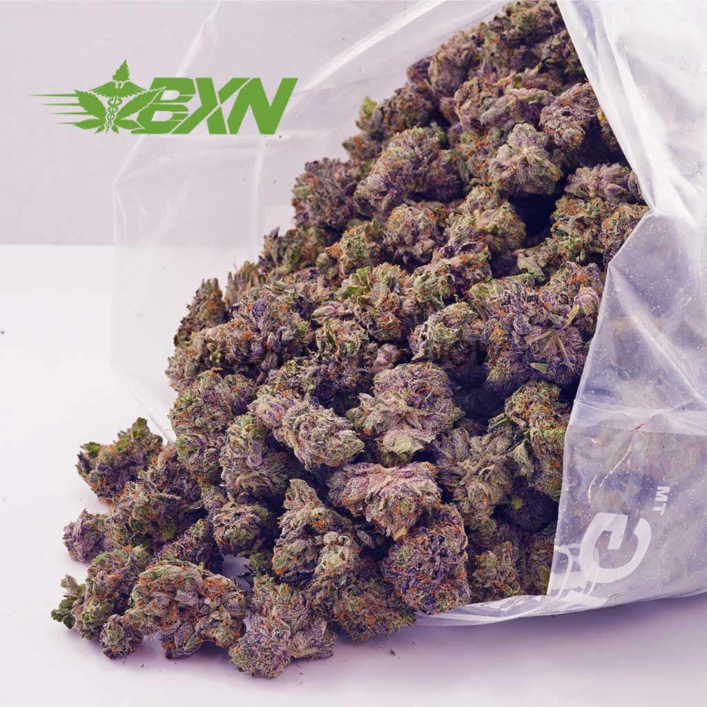 D341A2-ALASKANTHUNDERFUCKPOPCORN-BXN