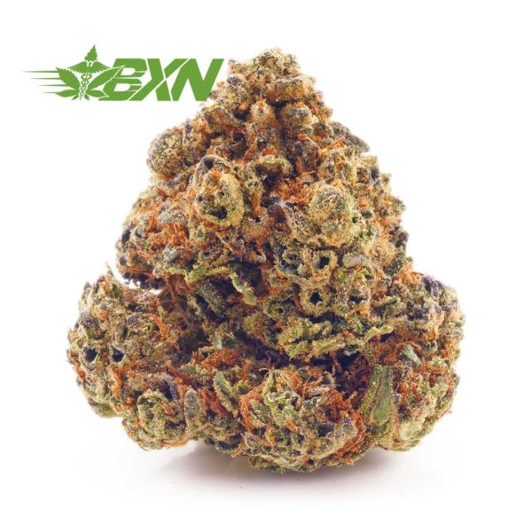 Buy Blackberry Kush AA at BudExpressNOW Online Shop