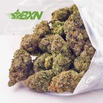 Buy Blueberry Supreme AAAA at BudExpressNOW Online Shop