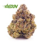 Buy Blueberry Gelato AAAA at BudExpressNOW Online Shop