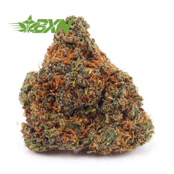 Buy Chemo Kush AAA at BudExpressNOW Online Shop