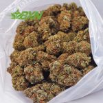 Buy Chemo Kush AAA at BudExpressNOW Online Shop