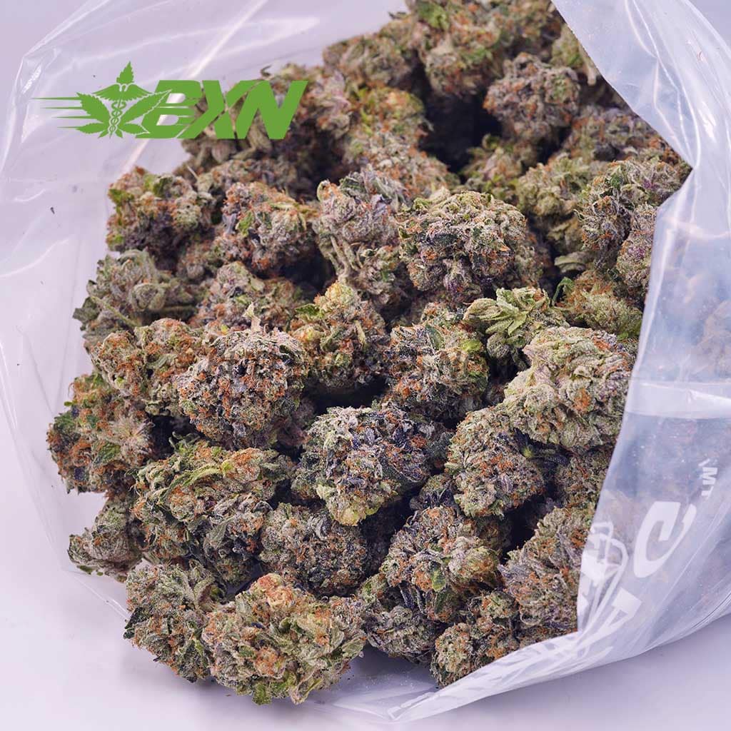 D480A2-HOLYGRAIL-BXN