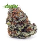 Buy Cherry Punch AAA at BudExpressNOW Online Shop