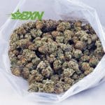 Buy Cherry Punch AAA at BudExpressNOW Online Shop