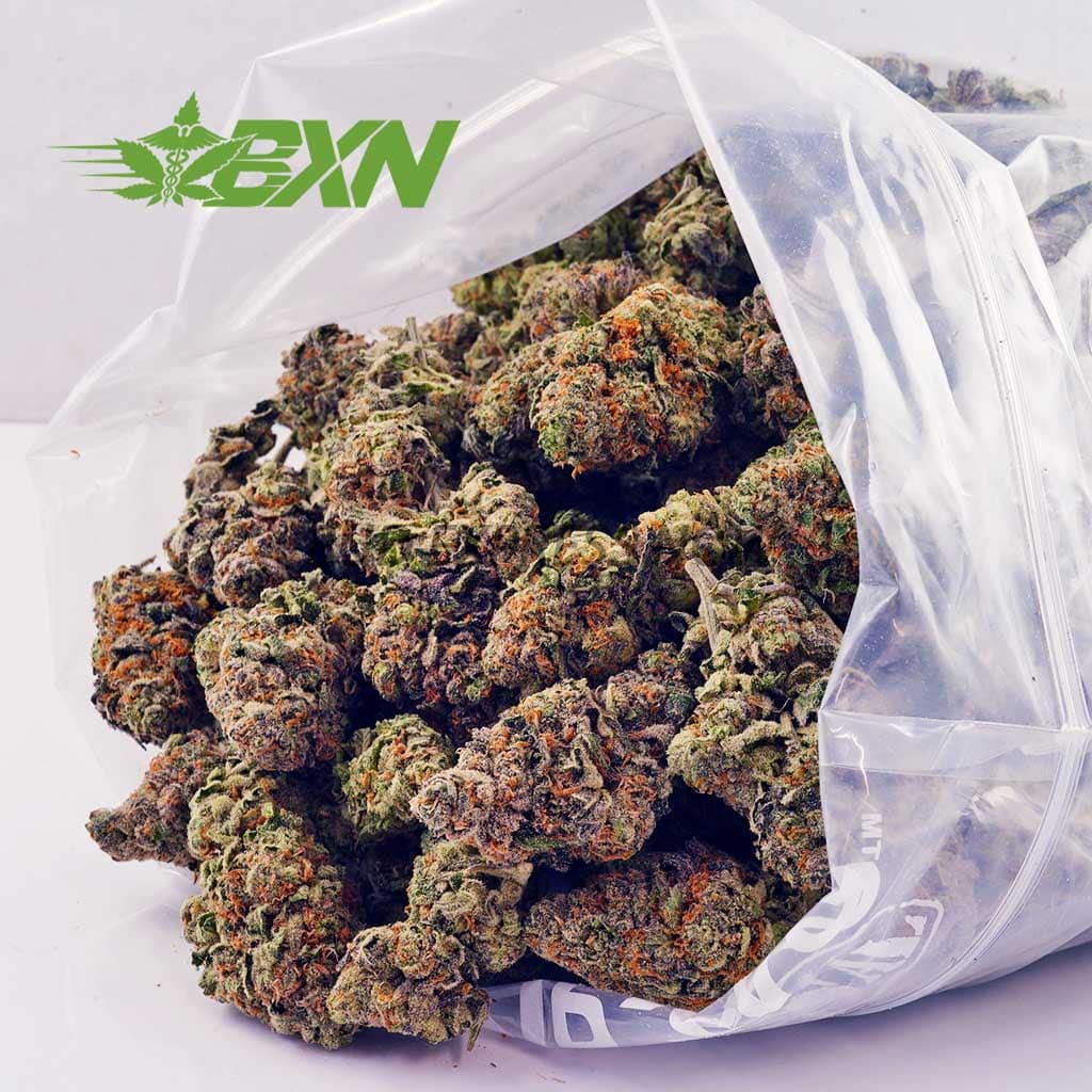 D674A2-KINGLOUISXIII-BXN Buy Nirvana AA at BudExpressNOW Online Shop