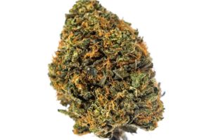 This Gorilla Glue strain review outlines & explains everything you need to know about this rare cannabis strain, including the THC & terpene content.