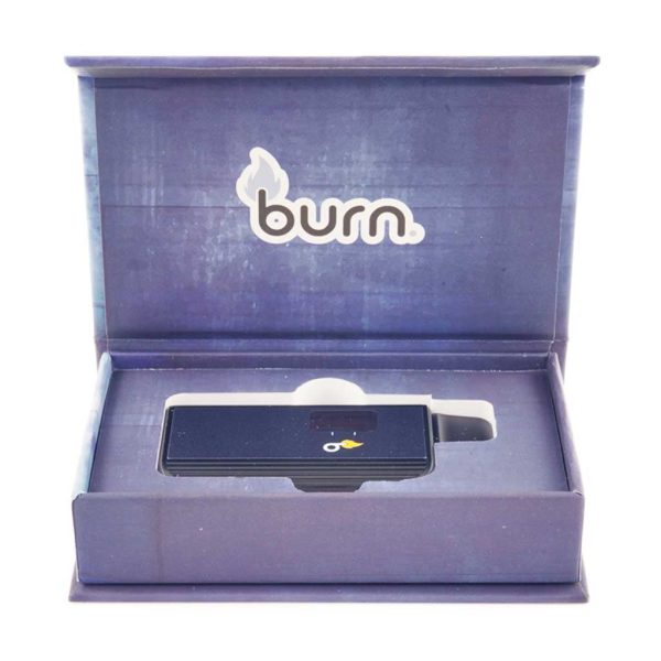 Buy Burn Extracts - Blueberry Mojito 3ML Mega Sized Disposable Pen at BudExpressNOW Online Shop