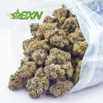 Buy Slurricane (Craft) at BudExpressNOW Online Shop