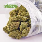 Buy OG Shark AAA at BudExpressNOW Online Shop