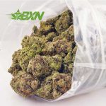 Buy White Death (Craft) at BudExpressNOW Online Shop