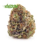 Buy Black Cherry OG AAA at BudExpressNOW Online Shop