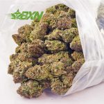 Buy Black Cherry OG AAA at BudExpressNOW Online Shop