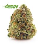 Buy Key Lime Pie AAA at BudExpressNOW Online Shop