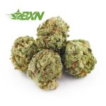 Buy Scooby Snacks AAAA (Popcorn) at BudExpressNOW Online Shop