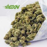 Buy Scooby Snacks AAAA (Popcorn) at BudExpressNOW Online Shop