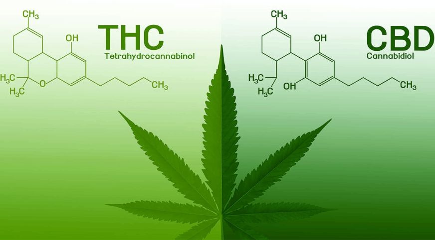 Before jumping straight into the differences between CBD and THC, let's discuss what these two terms refer to and their main characteristics. We'll begin with CBD or cannabidiol.