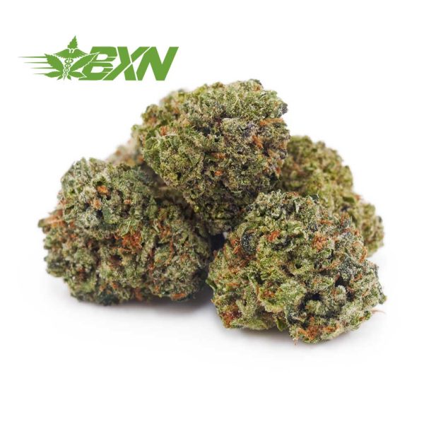 Buy Master Kush Ultra AAAA (Popcorn) at BudExpressNOW Online Shop.