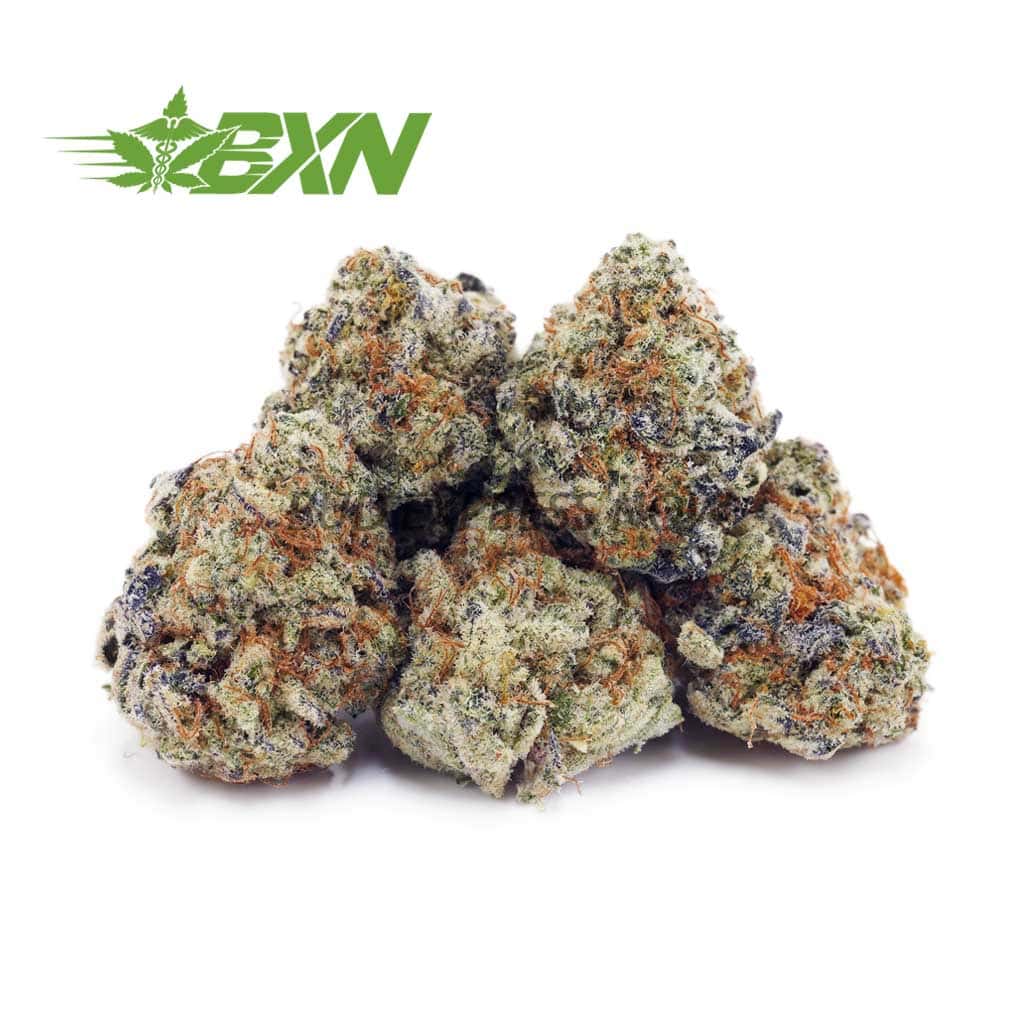 Buy Mango Tango AAAA (Popcorn) at BudExpressNOW Online Shop