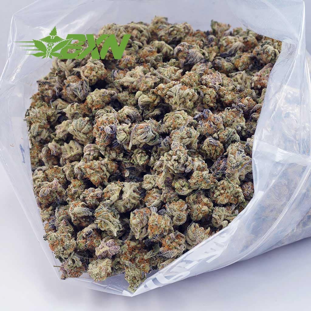 Buy Mango Tango AAAA (Popcorn) at BudExpressNOW Online Shop