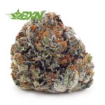 Buy Platinum Kush AA at BudExpressNOW Online