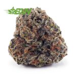 Buy Gorilla Glue #4 AA at BudExpressNOW Online