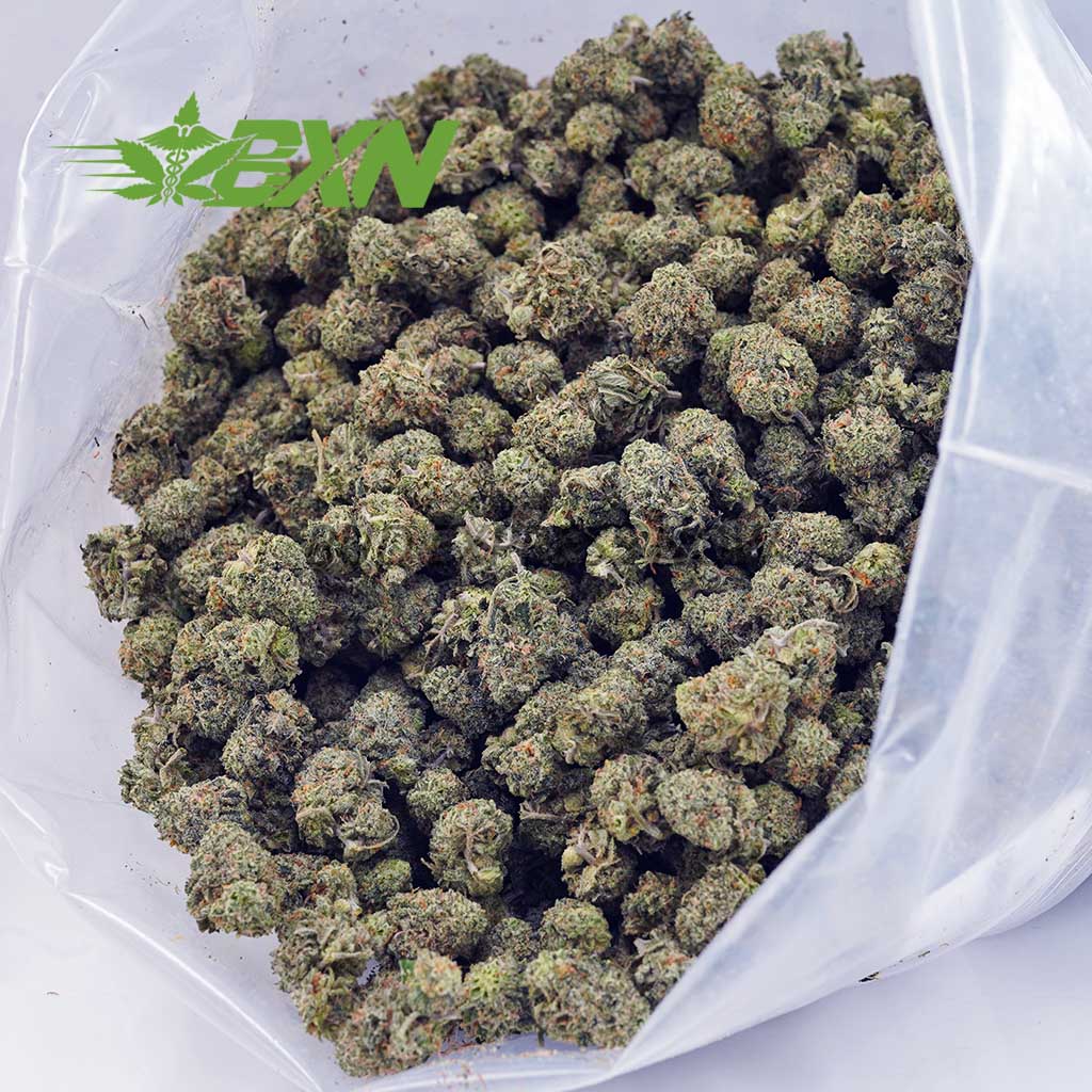 Buy Scooby Snacks AAAA (Popcorn) at BudExpressNOW Online Shop