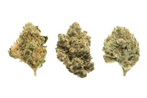Buy the best high THC Indica strains in Canada and many other cannabis products at BudExpressNOW. 