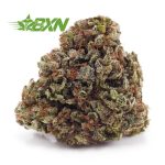 Buy Bruce Banner AAA at BudExpressNOW Online Shop.