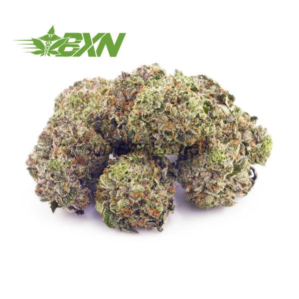 Buy Pink Kush AAAA (Popcorn) at BudExpressNOW Online Shop.