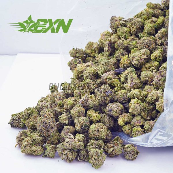 Buy Pink Kush AAAA (Popcorn) at BudExpressNOW Online Shop.