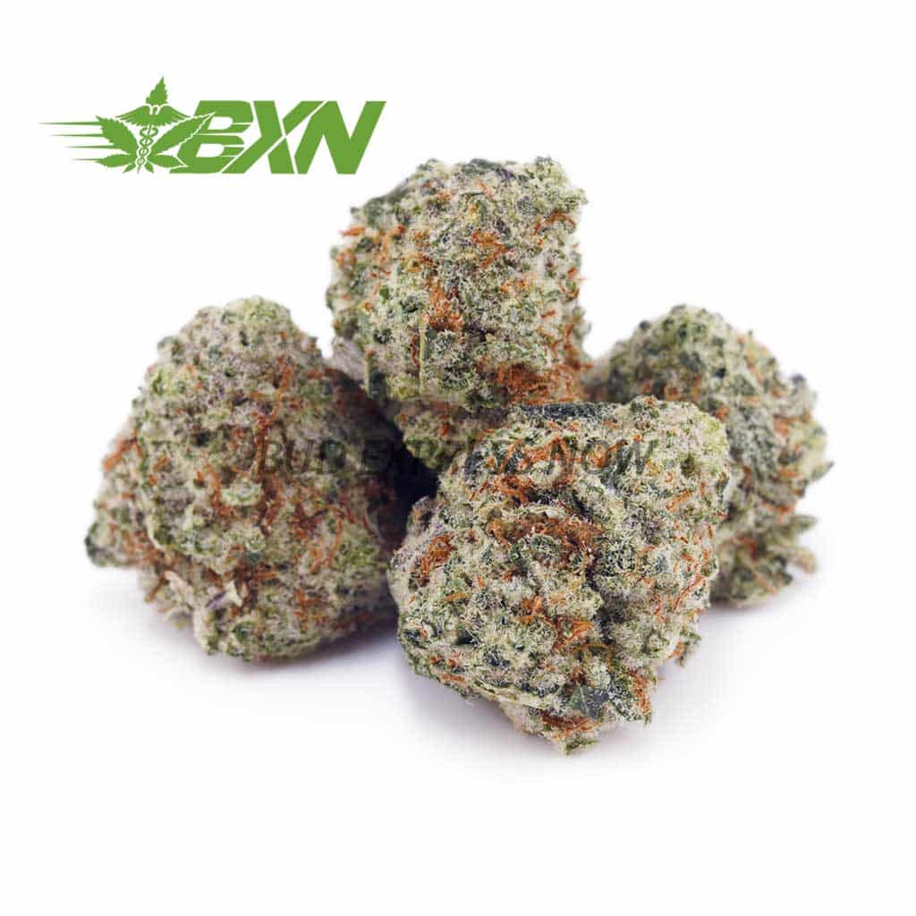 Buy Miracle Alien Cookies AAAA (Popcorn) at BudExpressNOW Online Shop.