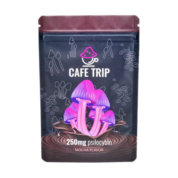 Buy Cafe Trip – Mocha Flavour Coffee Mix at BudExpressNow Online Shop