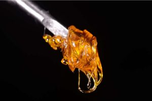 Keep reading for the facts and get ready to learn about the best THC wax products to buy from a reputable online dispensary like BudExpressNOW.
