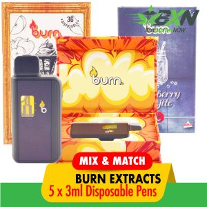 Buy Burn Extracts Disposable Pens 3ml Mix & Match 5 at Budexpressnow Online