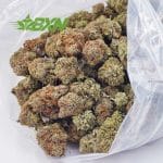 Buy Black Gas AAAA at BudExpressNOW Online Shop.