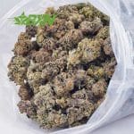 Buy Jet Fuel AA at BudExpressNOW Online Shop.