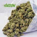 Buy Pineapple Express AAAA (Popcorn) at BudExpressNOW Online Shop.