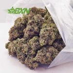 Buy Island Pink Kush AAA at BudExpressNOW Online Shop.