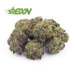 Buy Gas Mask AAAA (Popcorn) at BudExpressNOW Online Shop.