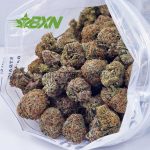 Buy Orange Crush AAAA (Popcorn) at BudExpressNOW Online Shop.