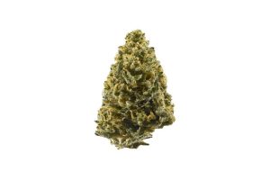 The Northern Lights weed strain is one of the most popular cannabis buds in the world. It is also one of the few strains crossed to produce new award-winning cannabis strains. 