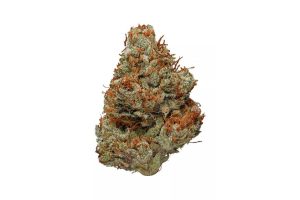 If you are ready to take an exciting trip to dreamland, welcome to the internet's most detailed review on the Blue Coma strain. 