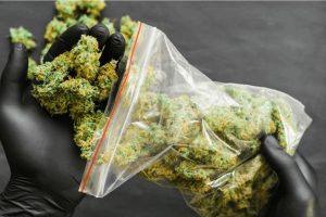 In this article, we'll guide you on how & where to purchase weed online in Canada from the best sources ensuring that you have access to top-grade.