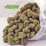 Buy Four Star General AAA at BudExpressNOW Online Shop.