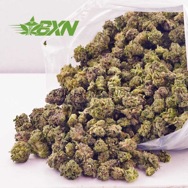 Buy Rockstar AAAA (Popcorn) at BudExpressNOW Online Shop.