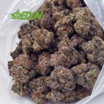 Buy El Jefe AAA at BudExpressNOW Online