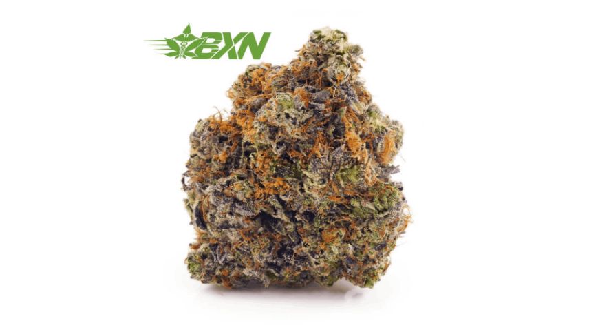 When it comes to cannabis and mental health, choosing a high-quality strain rich in THC is paramount, and El Diablo stands out as a top-grade Sativa that delivers exceptional results.