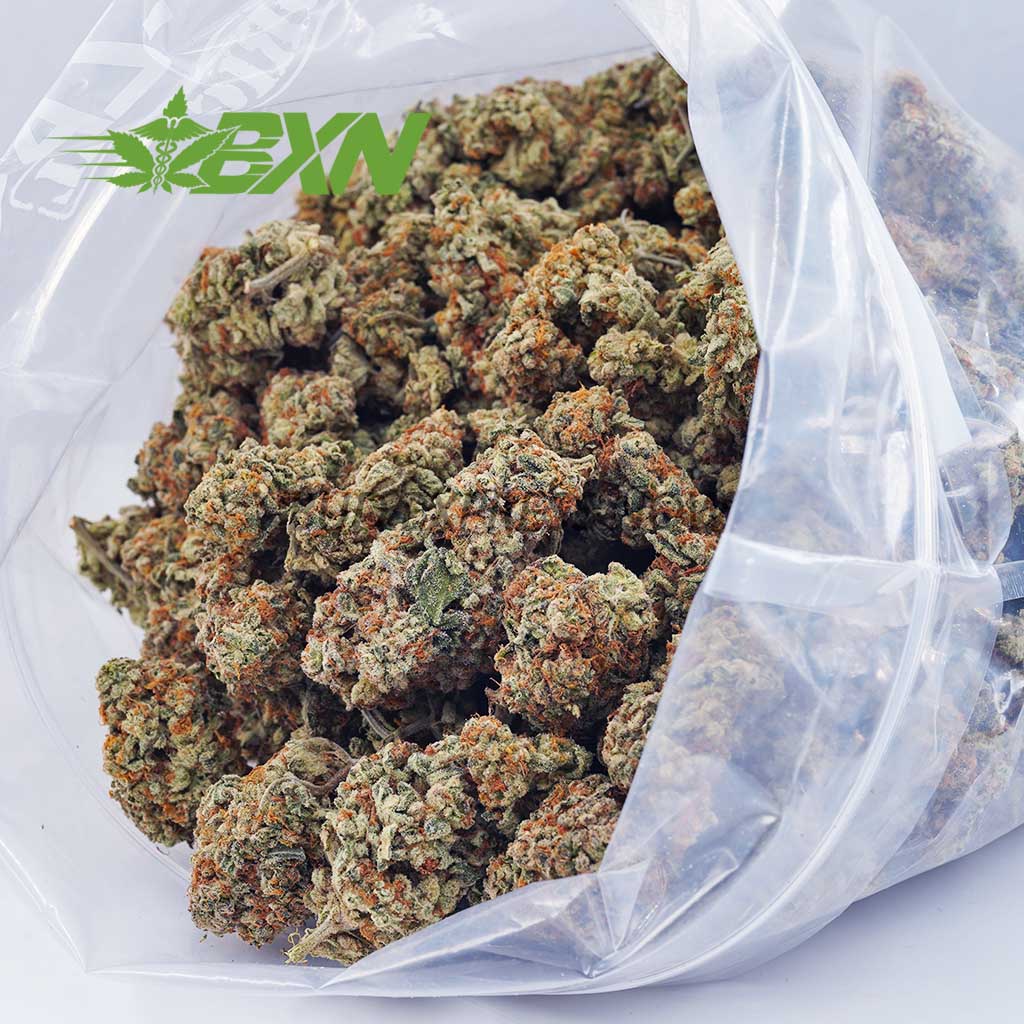 Gorilla Cake | Feminized Cannabis Marijuana Seeds | SeedsMafia™