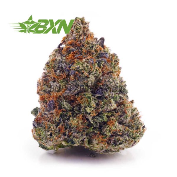 Buy Sour Amnesia AAA at BudExpressNOW Online Shop.